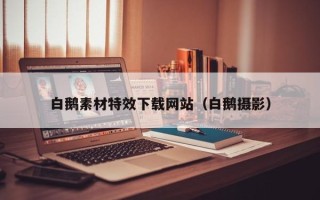 德宏白鹅素材特效下载网站（白鹅摄影）